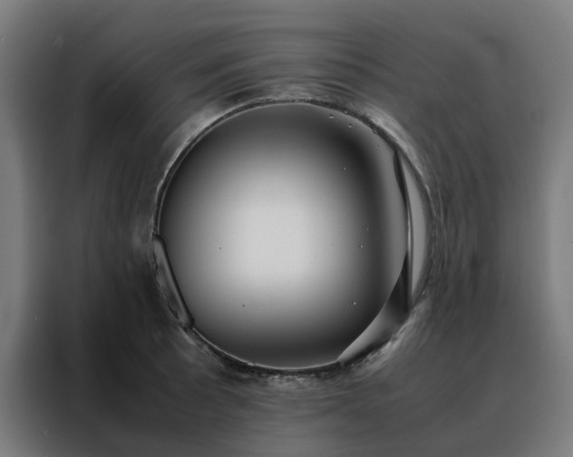 X0000088171089200705221617