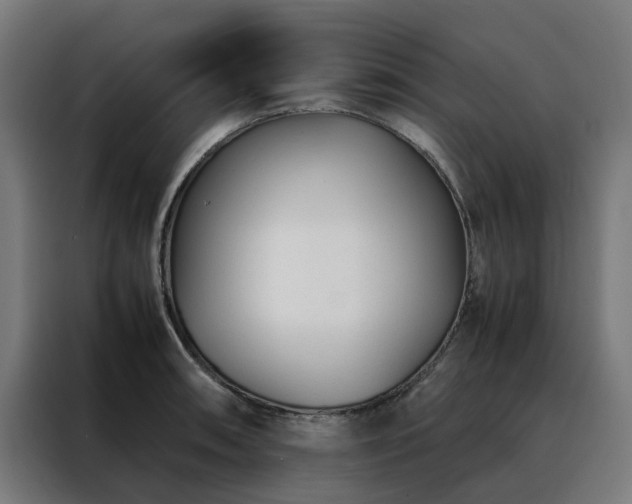 X0000088171090200705221617