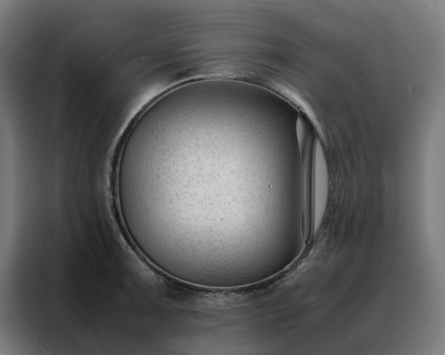 X0000088171091200705221617