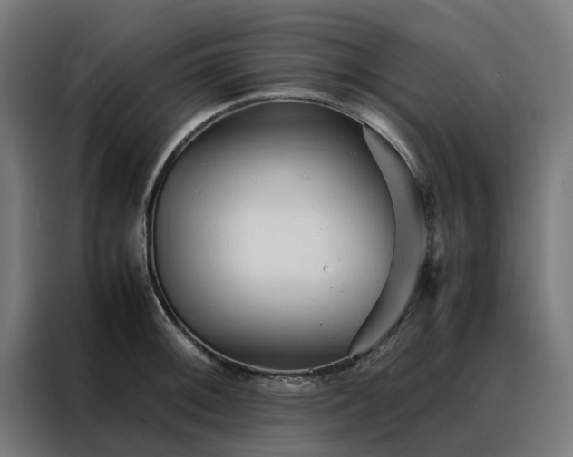 X0000088171092200705221617