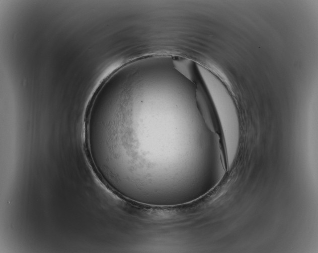 X0000088171095200705221617