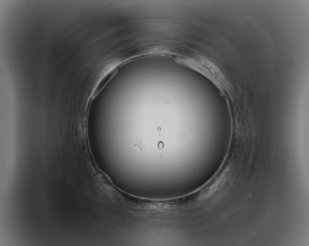 X0000088171097200705221617