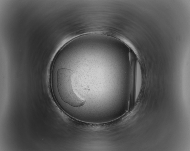 X0000088171099200705221617