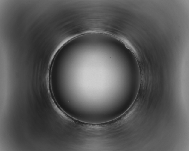 X0000088171100200705221617