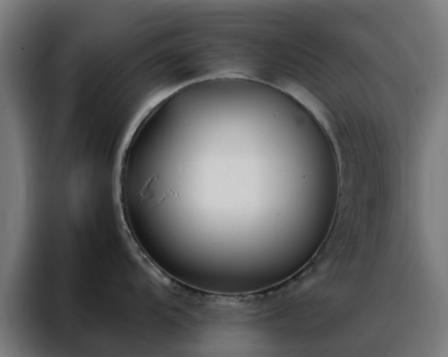 X0000088171104200705221616