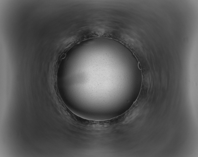 X0000088171105200705221616