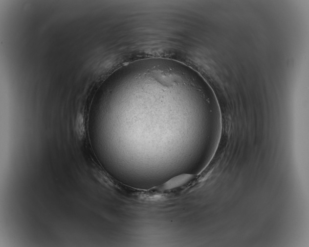 X0000088171106200705221616