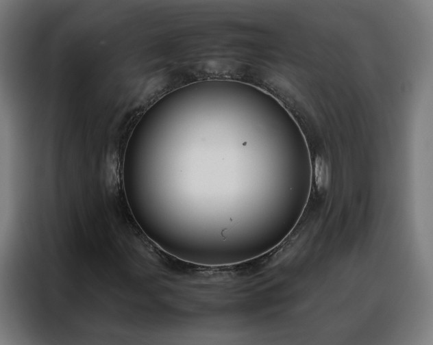 X0000088171107200705221616