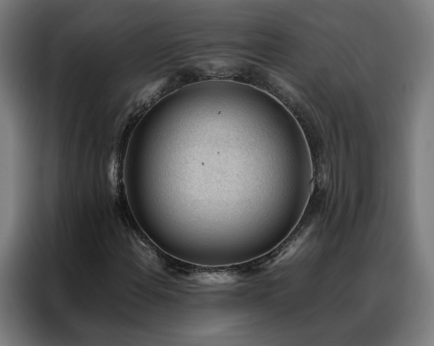 X0000088171108200705221616