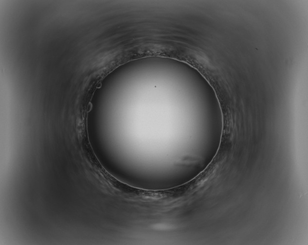 X0000088171109200705221616