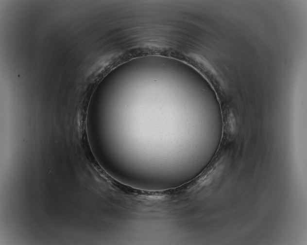 X0000088171110200705221616