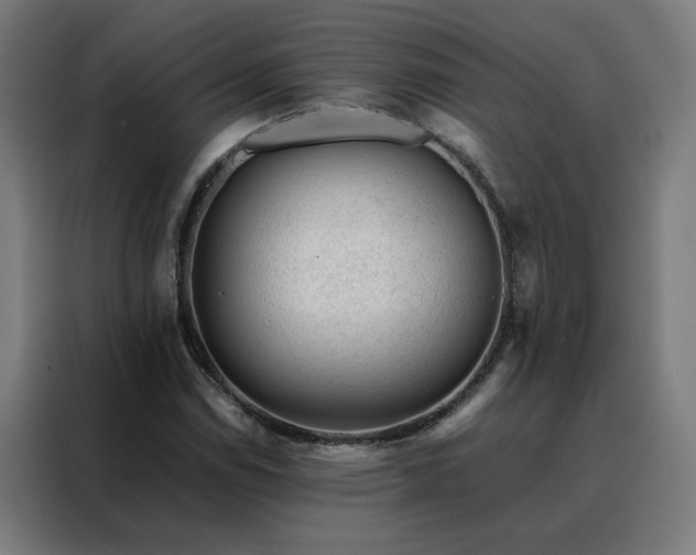 X0000088171114200705221616