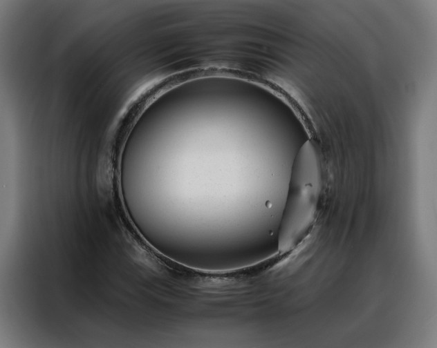 X0000088171115200705221616