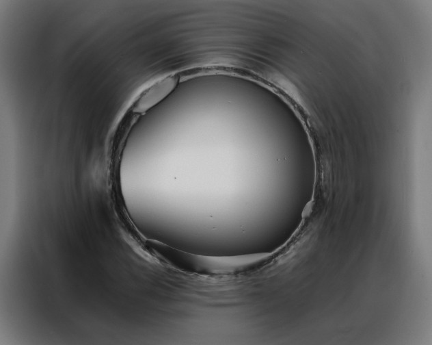 X0000088171116200705221616