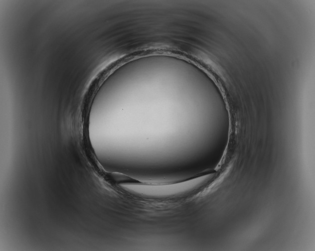 X0000088171117200705221616