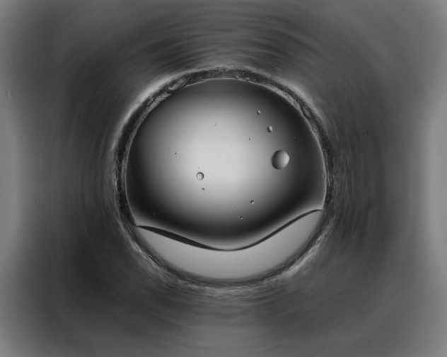 X0000088171118200705221616