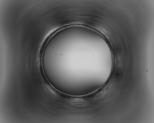 X0000088171119200705221616