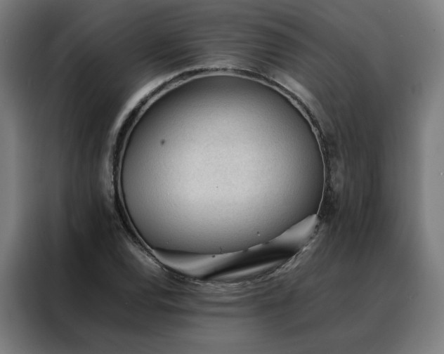 X0000088171120200705221616