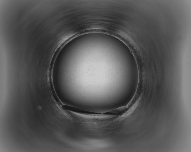 X0000088171121200705221616