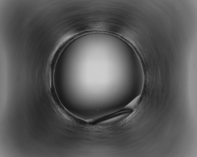 X0000088171123200705221616