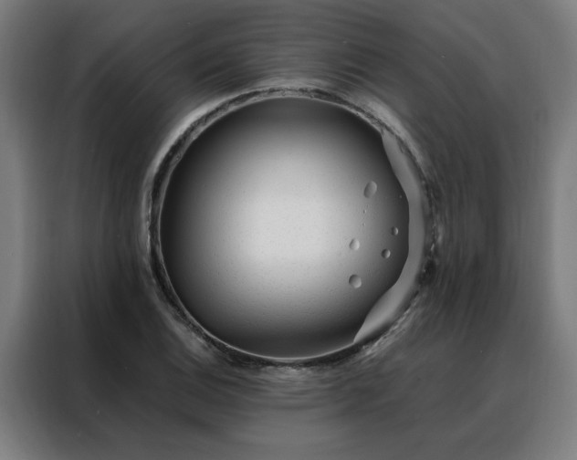 X0000088171124200705221616