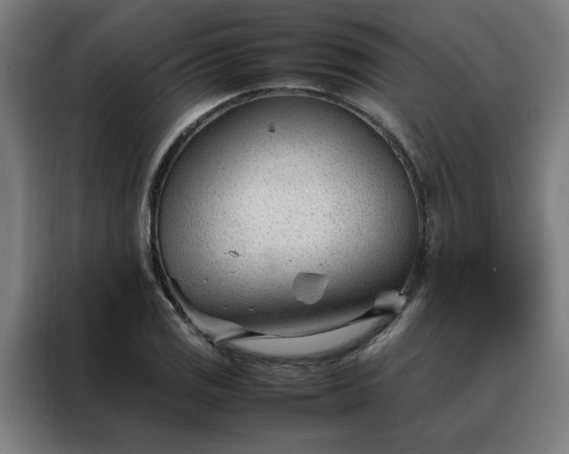 X0000088171125200705221616