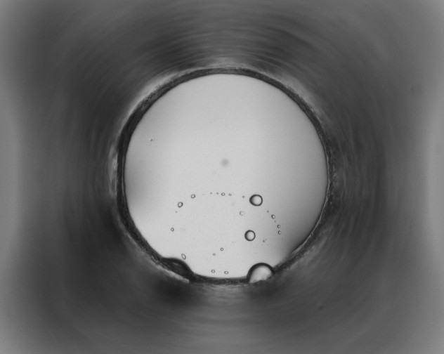 X0000088171126200705221616