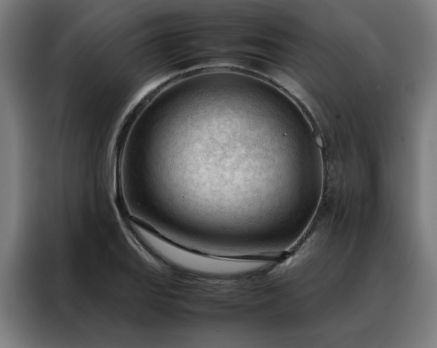 X0000088171127200705221616