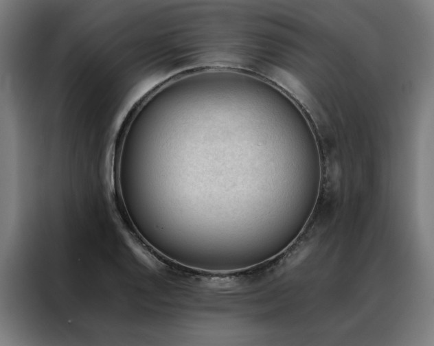 X0000088171128200705221616