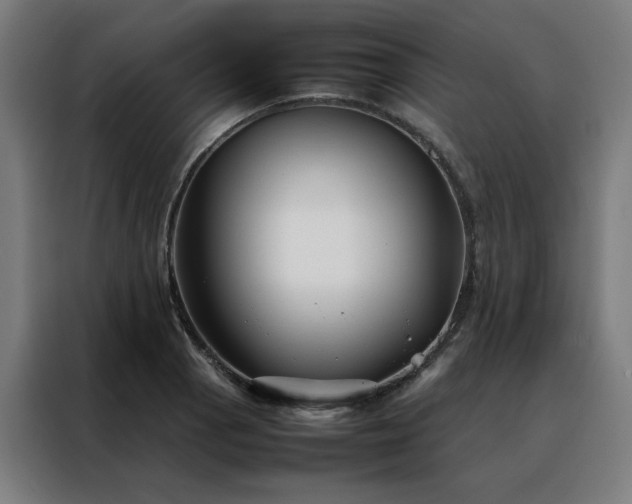 X0000088171129200705221616