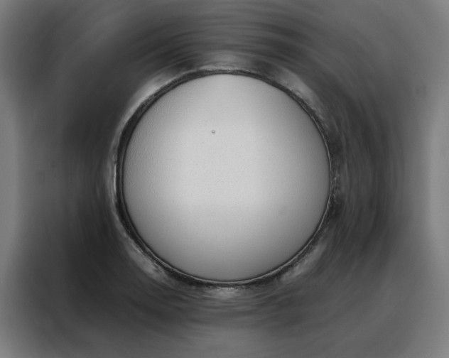 X0000088171130200705221616