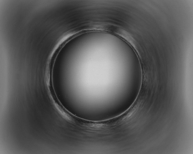 X0000088171131200705221616