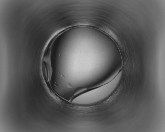 X0000088171132200705221616