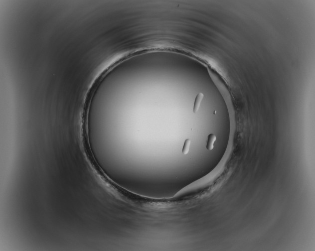 X0000088171134200705221616