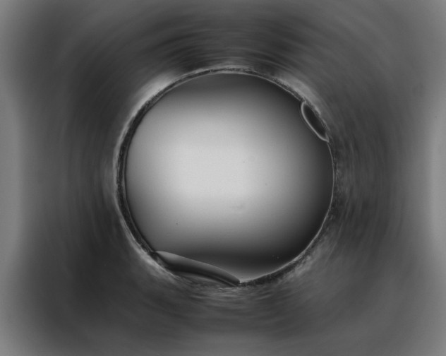 X0000088171135200705221616