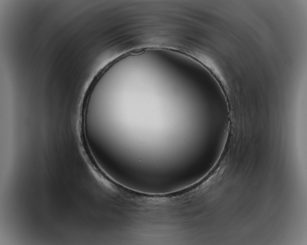 X0000088171136200705221616