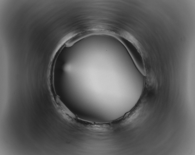 X0000088171138200705221616