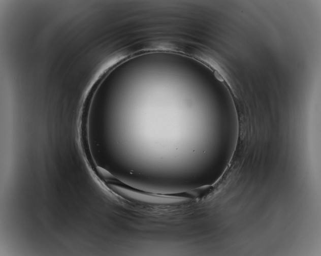 X0000088171139200705221616