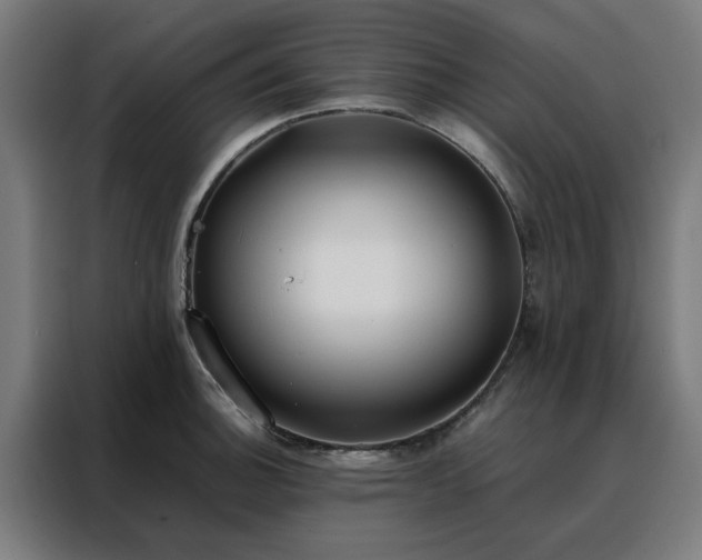 X0000088171140200705221616