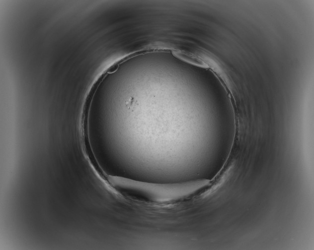 X0000088171141200705221616