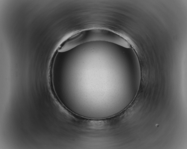 X0000088171142200705221616