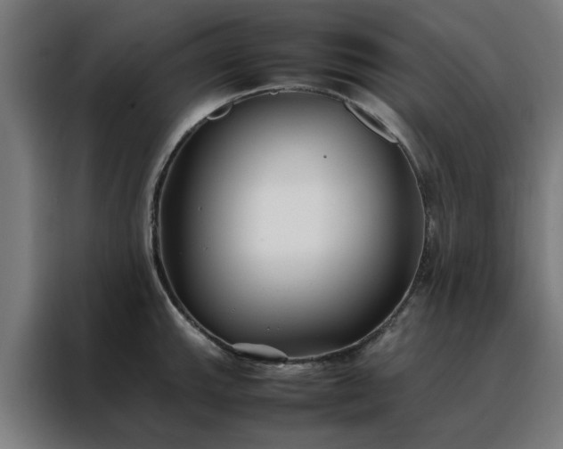 X0000088171143200705221616