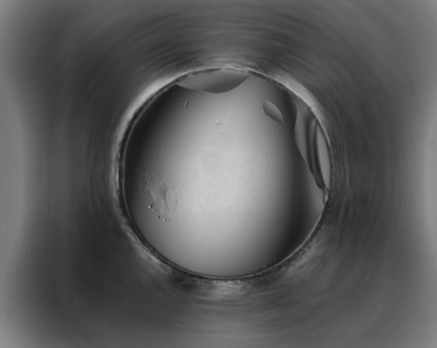 X0000088171144200705221616