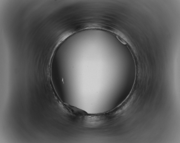 X0000088171145200705221616