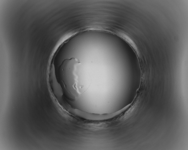 X0000088171146200705221616