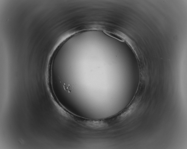 X0000088171147200705221616