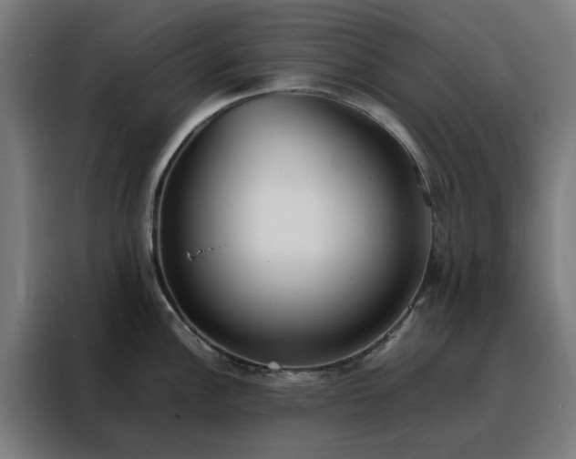 X0000088171148200705221616