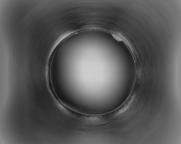 X0000088171149200705221616