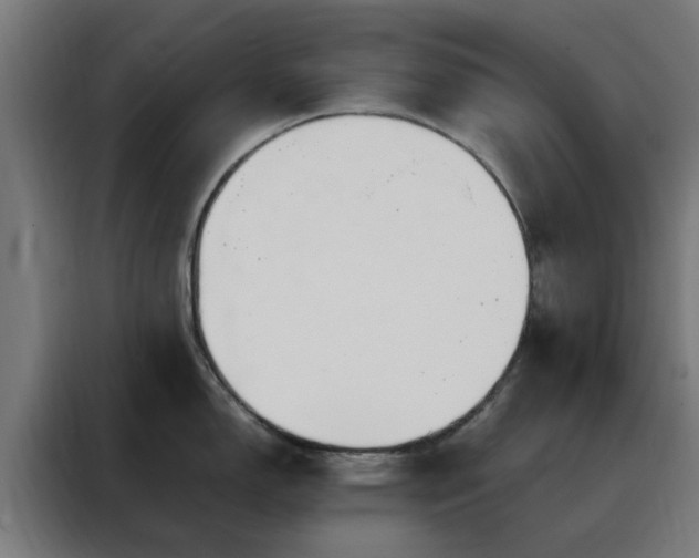 X0000088171150200705221616