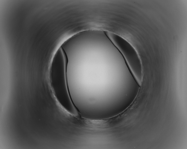 X0000088171152200705221616